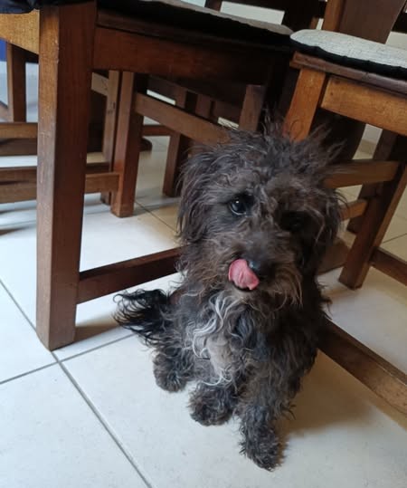 Encontrado12