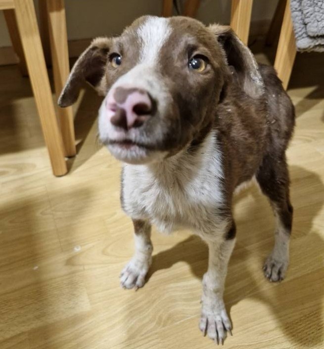 Max