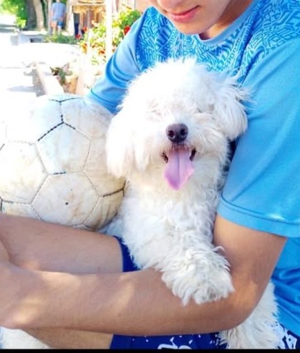 Toby
